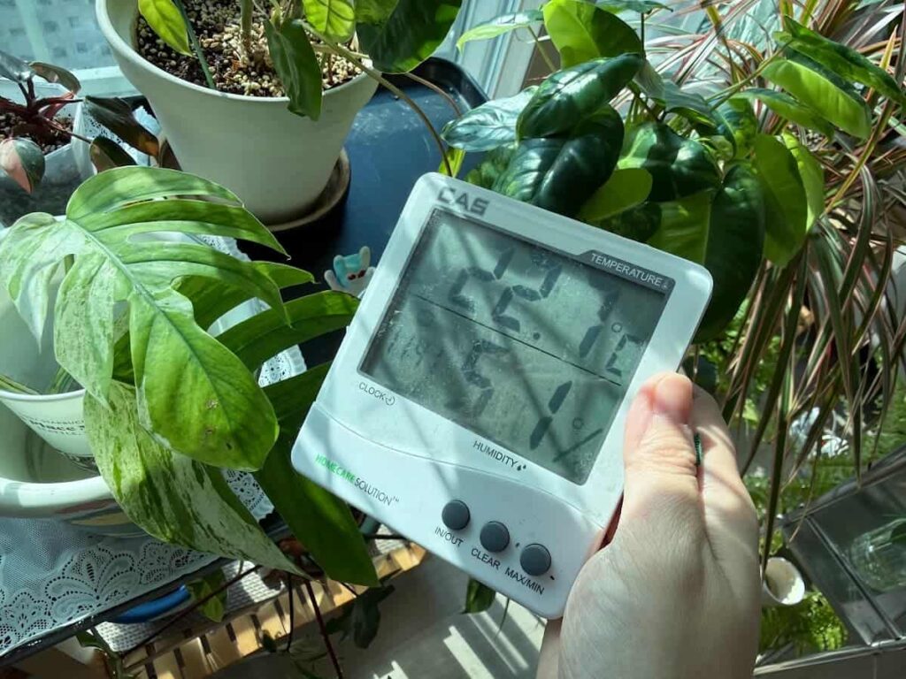 실내 습도가 식물 성장에 미치는 영향(가습기 꼭 필요할까?) 1 IMG 8171 1 1