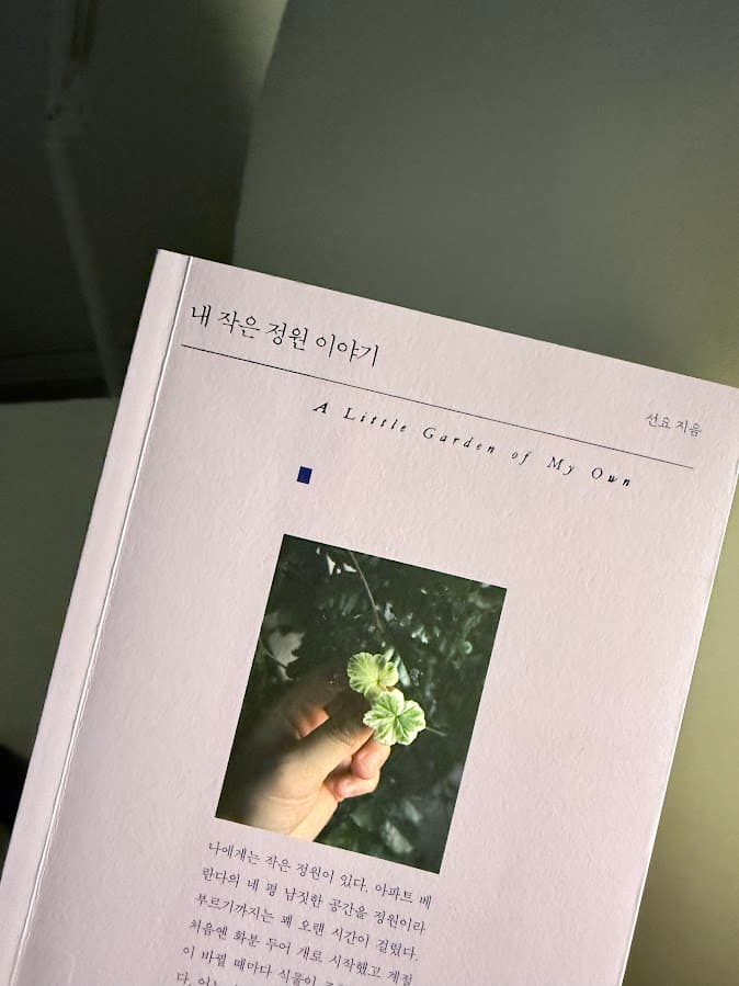 식물이 주는 위로|나의 작은 정원에서 배운 삶의 태도 1 IMG 8783 1