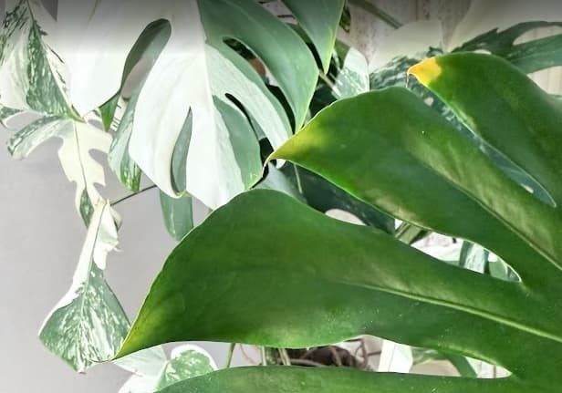 이미지 13 힘들 1 1